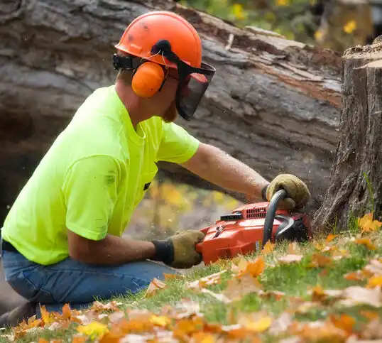 tree services Matthews